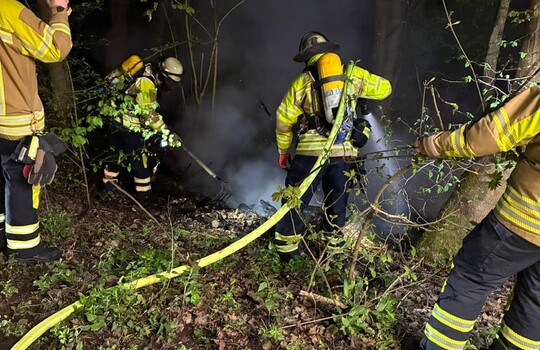 Teaserbild der Einsatzmeldung: B2 - Feuer/Rauch Wald >10qm