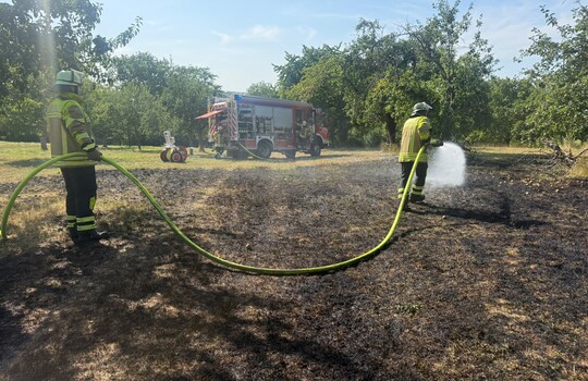 Teaserbild der Einsatzmeldung: B1 - Feuer/Rauch Busch/Hecke