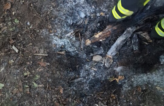 Teaserbild der Einsatzmeldung: B1 - Feuer/Rauch Unrat/Kompost