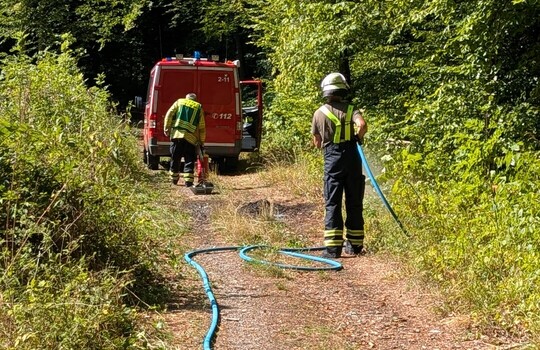 Teaserbild der Einsatzmeldung: B1 - Nachschau Brand Wald