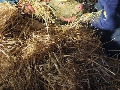 Detailbild - 