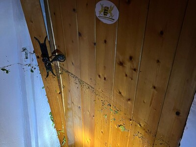 Detailbild - 