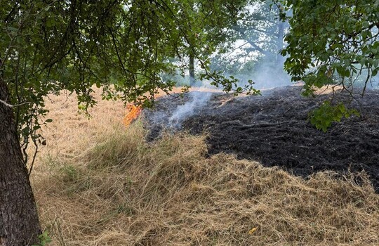 Teaserbild der Einsatzmeldung: B2 - Feuer/Rauch Wiese/&Ouml;dland <100qm