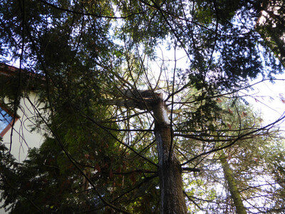 Detailbild - 