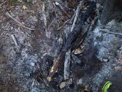 Detailbild -