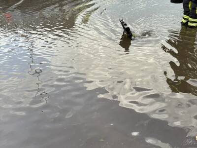 Detailbild - 